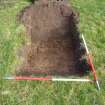 Trial Pit photograph, Film 2, E.R. TP 29, Mid excavation plan after strip, Taken from W, Amlaird