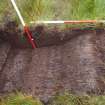 Trial Pit photograph, Film 2, E.R. TP 20, Mid excavation section, Taken from E, Amlaird