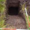 Trial Pit photograph, Film 2, E.R. TP 20, Post-excavation, Taken from N, Amlaird