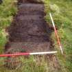 Trial Pit photograph, Film 2, E.R. TP 21, Mid excavation plan, Taken from S, Amlaird