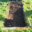 Trial Pit photograph, Film 2, E.R. TP 24, Mid excavatio/topsoil strip, Taken from NW, Amlaird