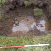 Trial Pit photograph, Film 3, TP 7, E of Cameron's farm, Post-excavation shot of trial pit, Taken from SW