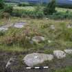 Digital photograph of panel in context with scale, from Scotland's Rock Art project, Midton 2, Highland