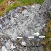 Digital photograph of panel before cleaning, from Scotland's Rock Art project, Tiree, Mannal, Argyll and Bute
