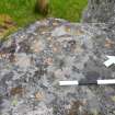 Digital photograph of close ups of motifs, from Scotland's Rock Art project, Tiree, Mannal, Argyll and Bute