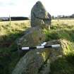 Digital photograph of panel to south-east, from Scotland's Rock Art project, Thorax, 2, Aberdeenshire


