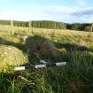 Digital photograph of panel to north-east, from Scotland's Rock Art project, Thorax, 2, Aberdeenshire



