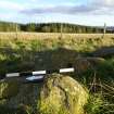 Digital photograph of panel to east, from Scotland's Rock Art project, Thorax, 2, Aberdeenshire


