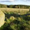 Digital photograph of panel in context with scale, from Scotland's Rock Art project, Thorax, 2, Aberdeenshire



