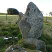 Digital photograph of panel in context with scale, from Scotland's Rock Art project, Thorax, 2, Aberdeenshire


