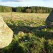 Digital photograph of panel in context with scale, from Scotland's Rock Art project, Thorax, 2, Aberdeenshire



