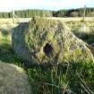 Digital photograph of panel before cleaning, from Scotland's Rock Art project, Thorax, 2, Aberdeenshire



