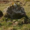 Digital photograph of panel to west, from Scotland's Rock Art project, Bute, Little Dunagoil, Argyll And Bute
