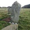 Digital photograph of panel to south, from Scotland's Rock Art project, Thorax, 1, Aberdeenshire