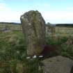 Digital photograph of panel to north, from Scotland's Rock Art project, Thorax, 1, Aberdeenshire