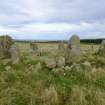 Digital photograph of panel in context with scale, from Scotland's Rock Art project, Thorax, 1, Aberdeenshire