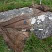 Digital photograph of perpendicular to carved surface(s), from Scotland's Rock Art project, Wester Achtuie, Highland