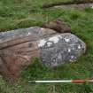 Digital photograph of panel to north, from Scotland's Rock Art project, Wester Achtuie, Highland