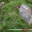 Digital photograph of panel to east, from Scotland's Rock Art project, Wester Achtuie, Highland