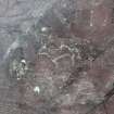 Digital photograph of panel in context without scale, from Scotland's Rock Art project, Blackford Hill, Edinburgh, City Of