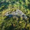 Digital photograph of panel before cleaning, from Scotland's Rock Art project, Hill Of Avochie, 2, Aberdeenshire
