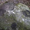 Digital photograph of perpendicular to carved surface(s), from Scotland's Rock Art project, Shantron, Argyll And Bute