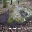 Digital photograph of panel to west, from Scotland's Rock Art project, Shantron, Argyll And Bute

