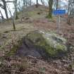 Digital photograph of panel in context without scale, from Scotland's Rock Art project, Shantron, Argyll And Bute




