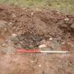 Watching Brief photograph, Film 3, Area of root disturbance, Grave Leys, Taken from NW, Taken from, Fiddes Electricity Cable Route, Stonehaven