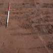 Watching Brief photograph, Film 3, General view of ploughmarks in Grave Leys field, Taken from NW, Fiddes Electricity Cable Route, Stonehaven