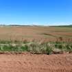 Watching Brief photograph, Film 4, General shot of field to the north east of site, Taken from SW, Pade O' France, Fiddes Electricity Cable Route, Stonehaven