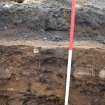 P35 dug deep with machine for geo showing positions of samples, Nethermills, Crathes, Aberdeenshire