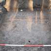 Excavation photograph, Plough marks in sand, Nethermills, Crathes, Aberdeenshire
