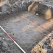 Excavation photograph, Plough marks in sand, Nethermills, Crathes, Aberdeenshire