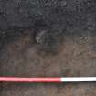 Excavation photograph, TP47 sand subsoil with animal burrows post-excavation, Nethermills, Crathes, Aberdeenshire