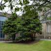 Survey photograph, Photo Survey exterior, King's Quarter, University of Aberdeen