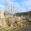 Standing Building Survey photograph, Farm from SW, Kinharrachie Farm, Kinharrachie, Ellon, Aberdeenshire