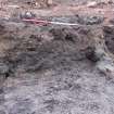 Excavation photograph, W facing section through Trough 031, 396-410 Gorgie Road, Edinburgh