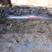 Excavation photograph, S facing section showing base of trough and clay 001 below, 396-410 Gorgie Road, Edinburgh