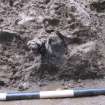 Excavation photograph, Trench sides, 396-410 Gorgie Road, Edinburgh