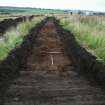 Evaluation photograph, Post-excavation shot Trench 6, Ness Gap, Fortrose, Highland