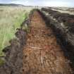 Evaluation photograph, Post-excavation shot Trench 31, Ness Gap, Fortrose, Highland