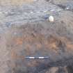 Monitored Soil Strip photograph, Animal bones post-excavation [176]/(177), Ness Gap, Fortrose, Highland