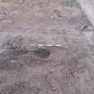 Monitored Soil Strip photograph, Location of Possible Neolithic Pot Found in Pit [182], Ness Gap, Fortrose, Highland