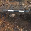 Monitored Soil Strip photograph, North facing section pit [186], Ness Gap, Fortrose, Highland