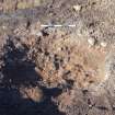 Monitored Soil Strip photograph, Post-excavation shot, Ness Gap, Fortrose, Highland