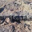 Monitored Soil Strip photograph, East facing section, Ness Gap, Fortrose, Highland