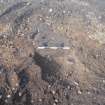 Monitored Soil Strip photograph, SW facing section of pit [196], Ness Gap, Fortrose, Highland