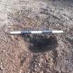 Monitored Soil Strip photograph, West facing section of pit [198], Ness Gap, Fortrose, Highland