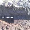 Monitored Soil Strip photograph, NW facing section of pit [200], Ness Gap, Fortrose, Highland